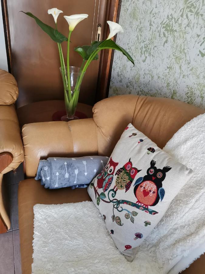 Appartamento Hamboula Polis Esterno foto